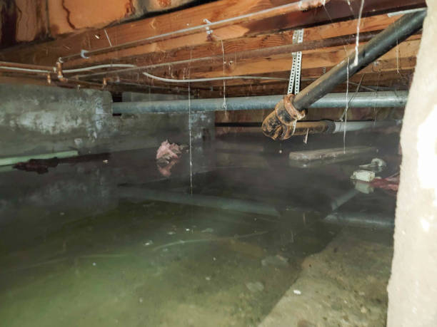 Fire Damage Restoration in Bellair Meadowbrook Terrace, FL