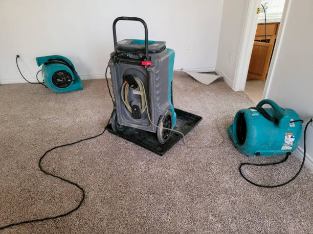 Best Water damage cleanup near me  in Bellair Meadowbrook Terrace, FL
