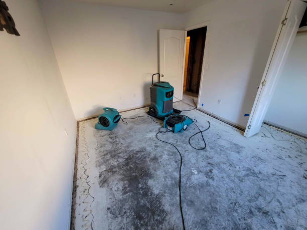 Best Fire Damage Restoration  in Bellair Meadowbrook Terrace, FL