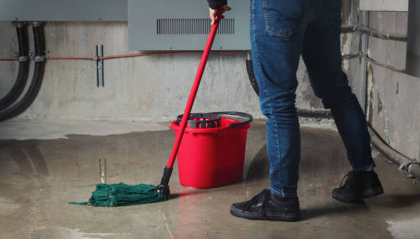Best Water damage contractors near me  in Bellair Meadowbrook Terrace, FL