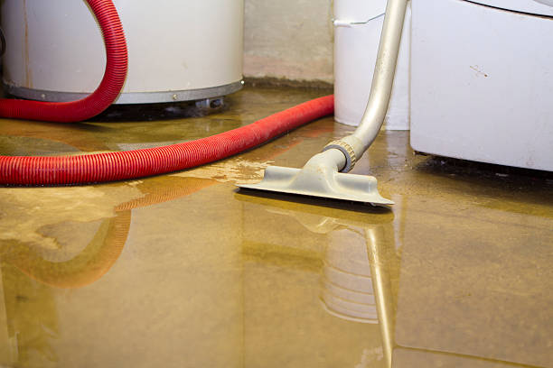 Best Local water damage restoration  in Bellair Meadowbrook Terrace, FL
