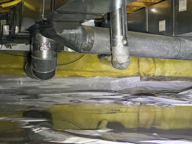 Best Ceiling water damage repair  in Bellair Meadowbrook Terrace, FL