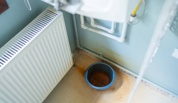 Best Professional water damage repair  in Bellair Meadowbrook Terrace, FL