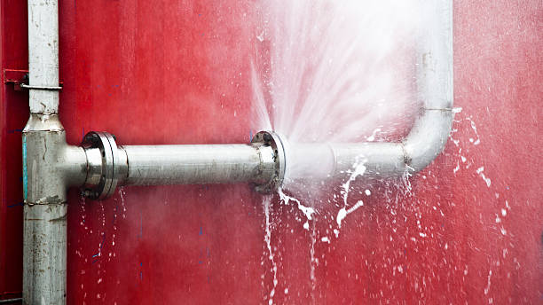 Best Water damage restoration near me  in Bellair Meadowbrook Terrace, FL